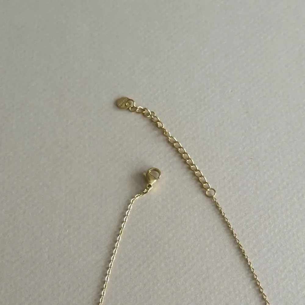 Ladybug Necklace #2126